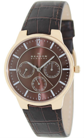 Skagen Men's Analog Quartz Watch