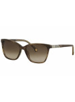 Carolina Herrera Women's Square Brown Sunglasses SHE7965706YZ