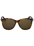 Gucci Women's Cat-Eye Havana Frame Brown Lens Sunglasses GG0024S-002-58